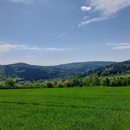 Brzozowy Zakatek Apartment Posada Gorna Luaran gambar