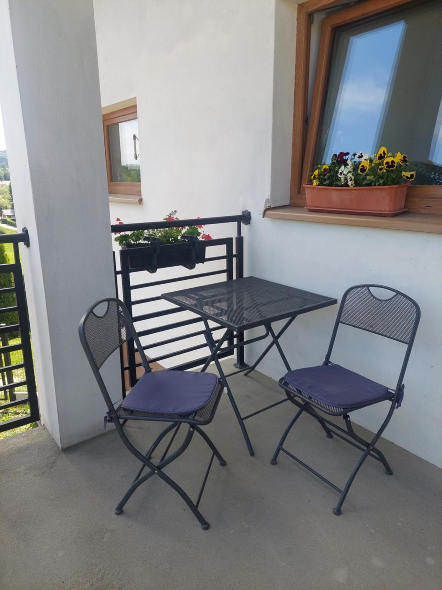Brzozowy Zakatek Apartment Posada Gorna Luaran gambar