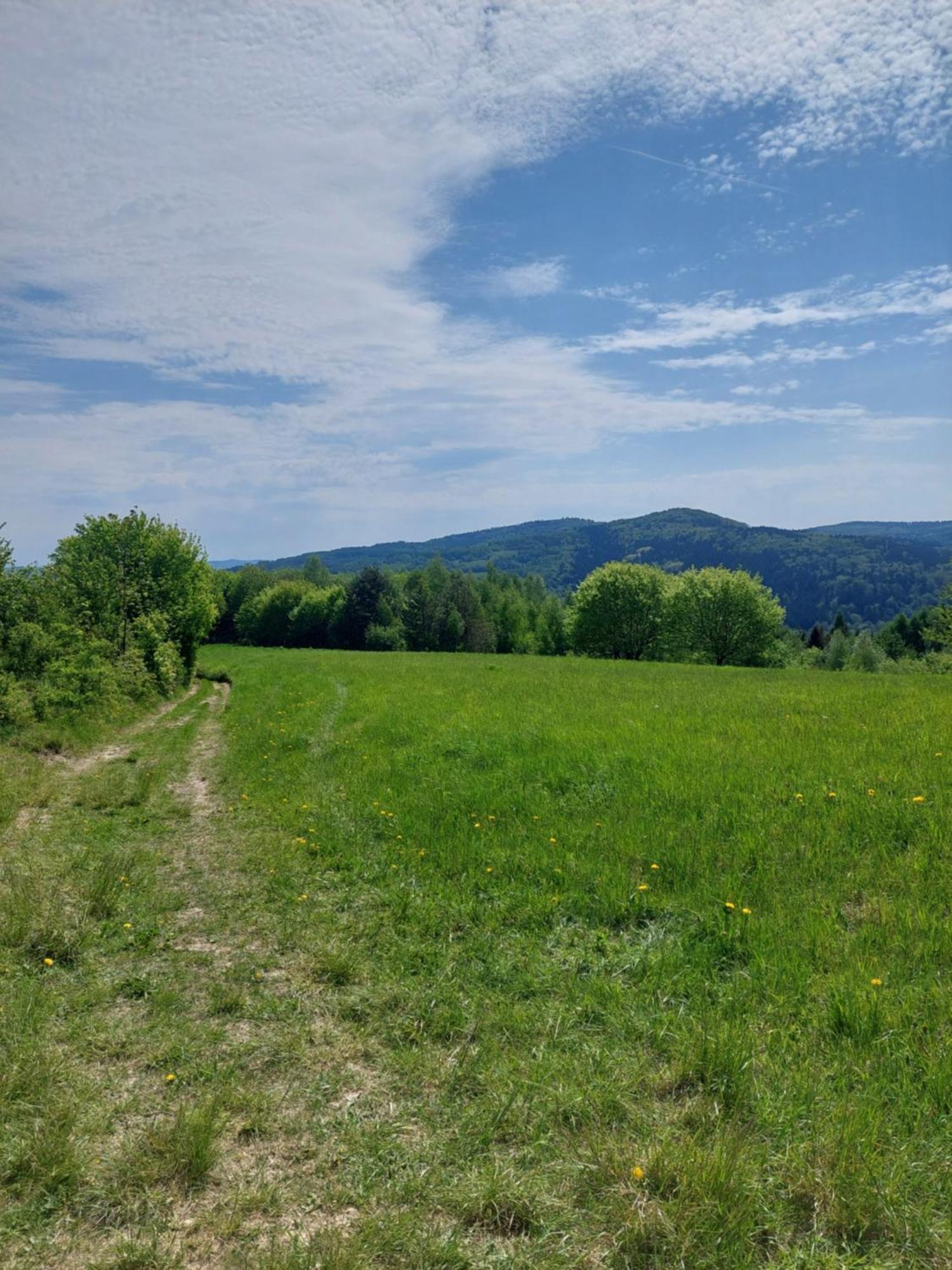 Brzozowy Zakatek Apartment Posada Gorna Luaran gambar